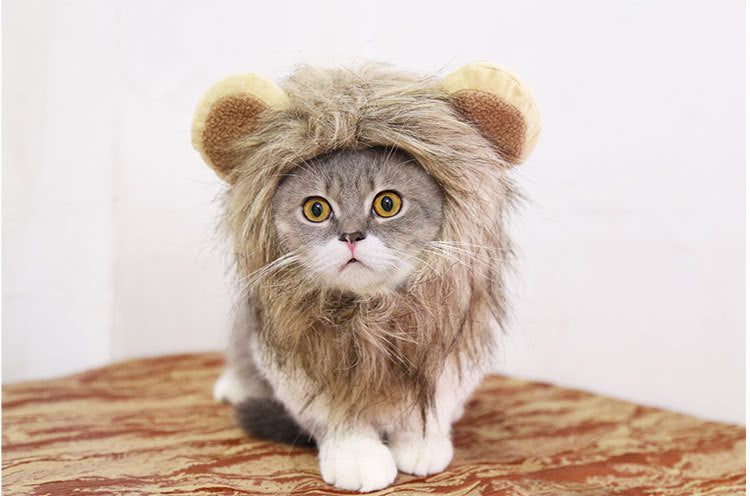 Fur Everest | Halloween Lion Hat for Dog and Cat