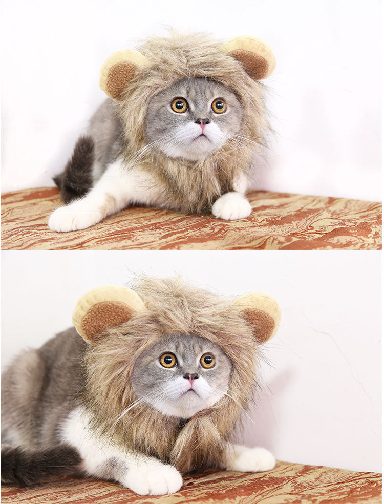 Fur Everest | Halloween Lion Hat for Dog and Cat