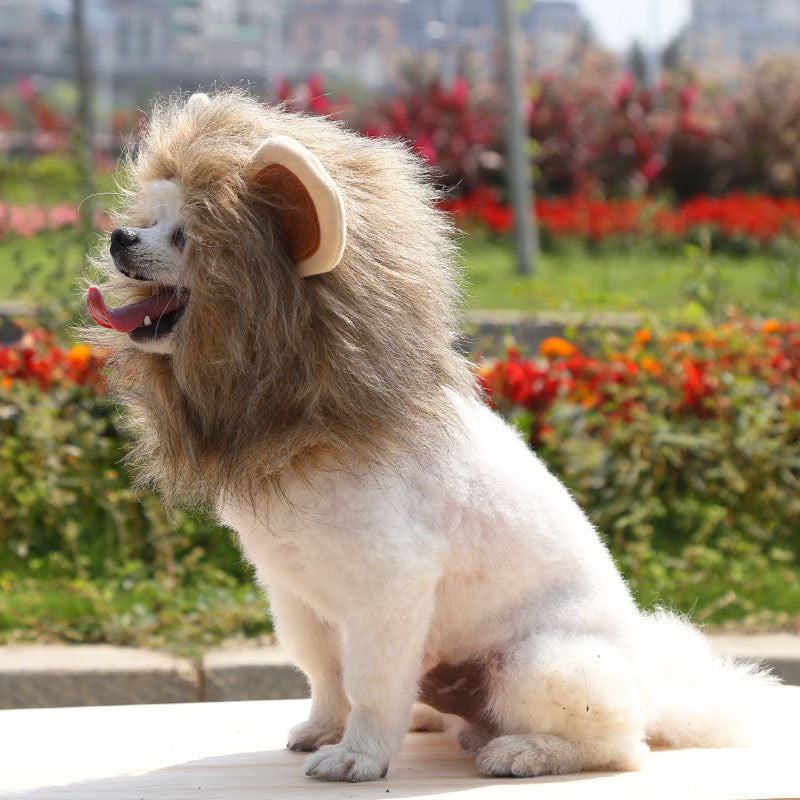 Fur Everest | Halloween Lion Hat for Dog and Cat