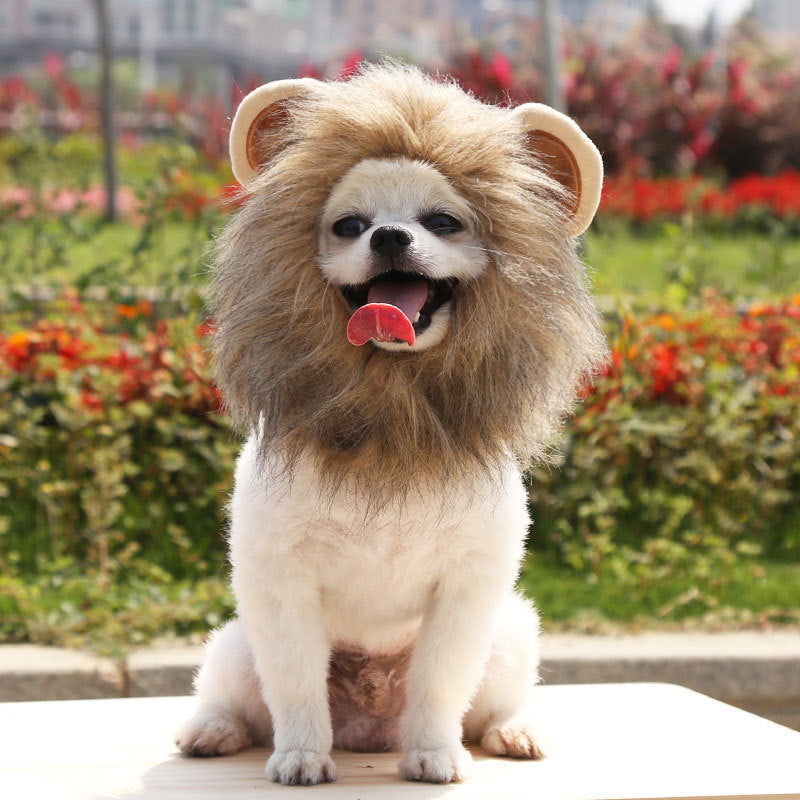 Fur Everest | Halloween Lion Hat for Dog and Cat