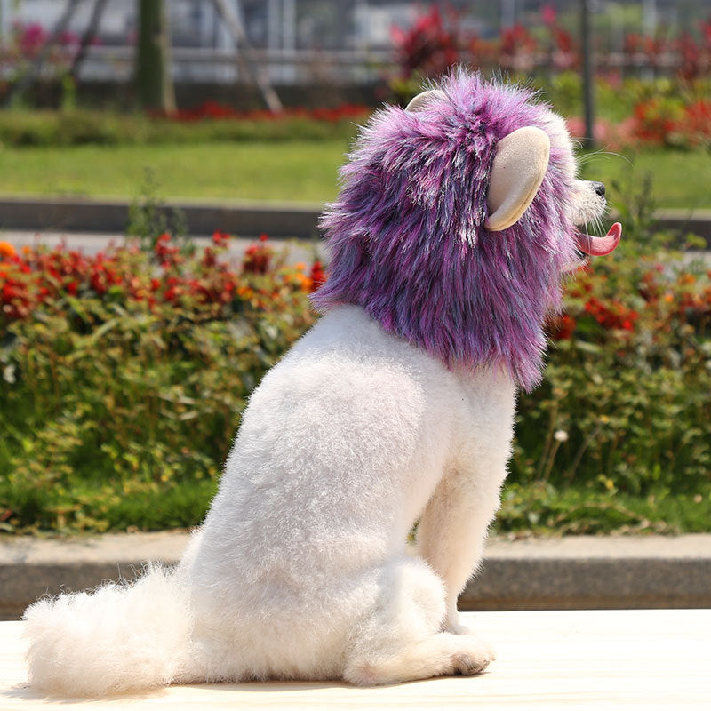 Fur Everest | Halloween Lion Hat for Dog and Cat