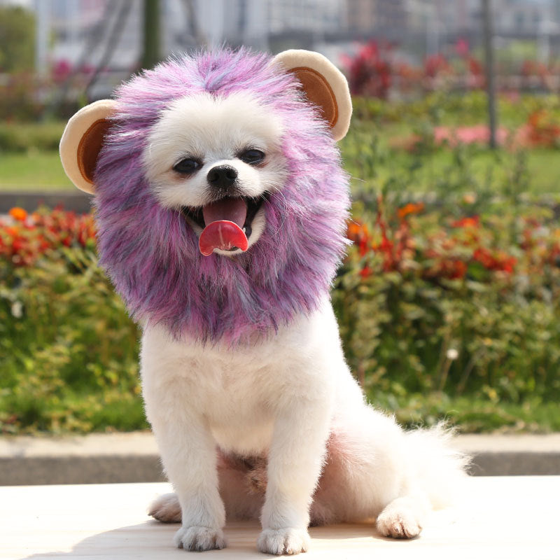 Fur Everest | Halloween Lion Hat for Dog and Cat