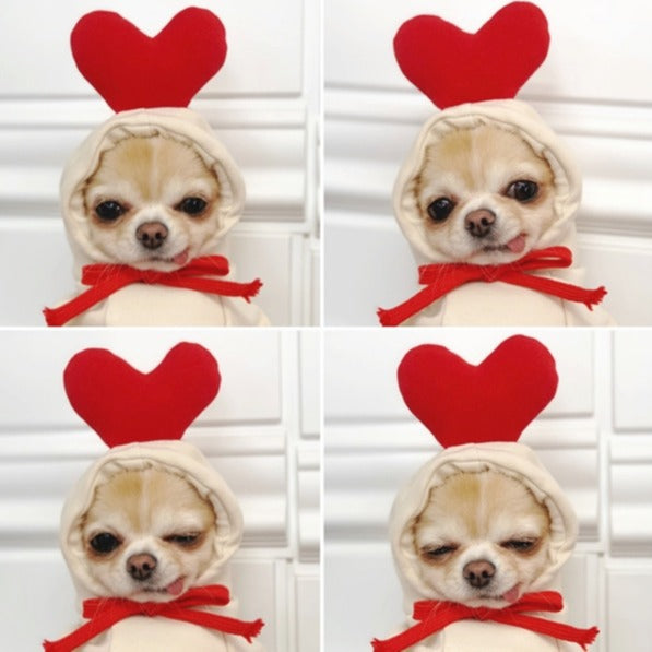 Fur Everest | Small Dog Cat Cosplay Sweater